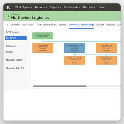 Beneficial ownership chart in Konsise displaying ownership relationships, ultimate beneficial owners, and shareholding structures.